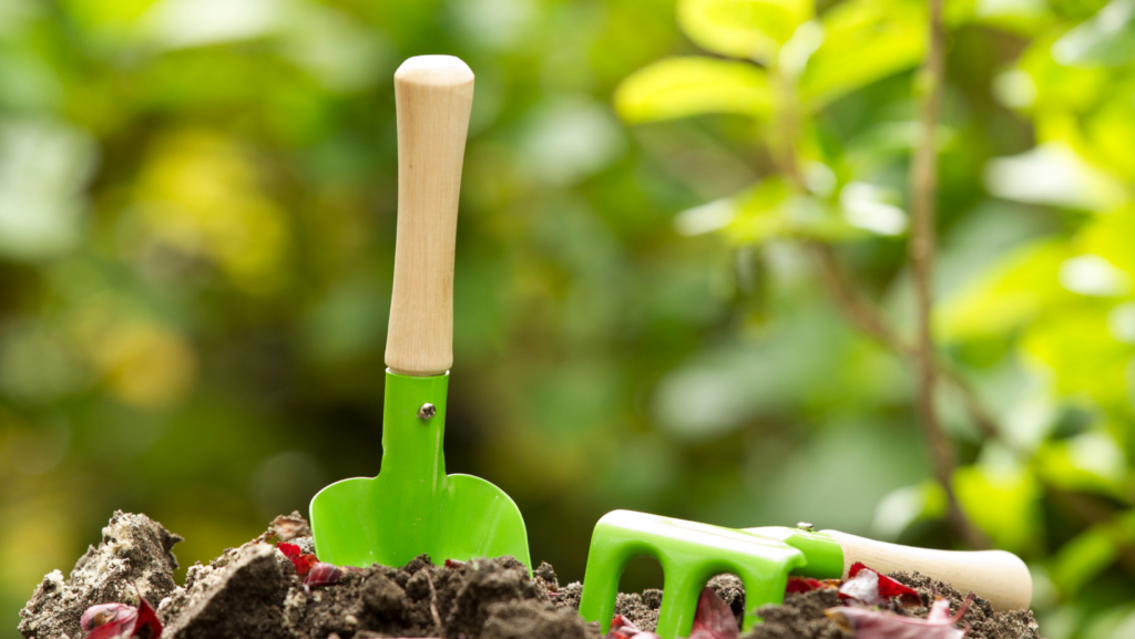 The Spruce Gardening