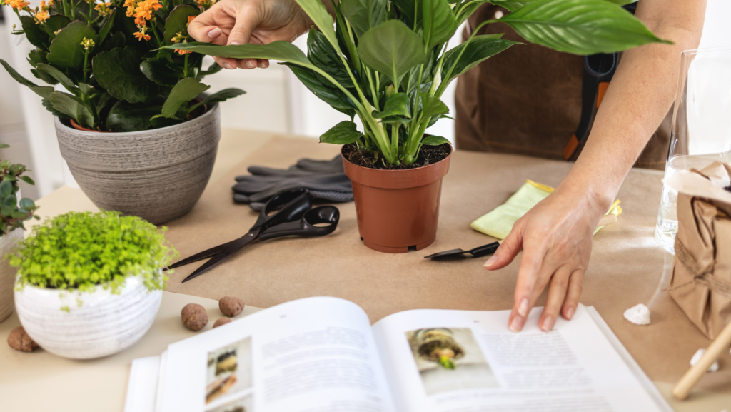 Urban Gardening Book