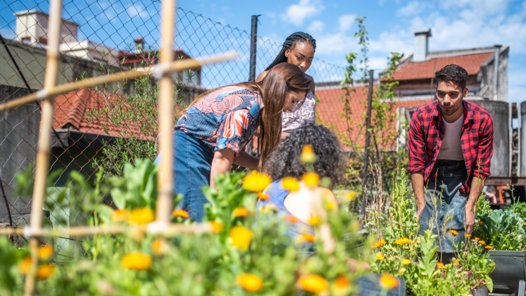 Urban Gardening Ideas