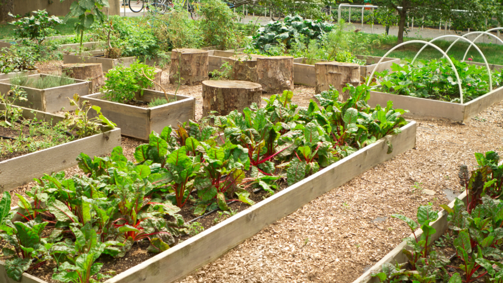 What Are Some Benefits Related To Urban Gardening?