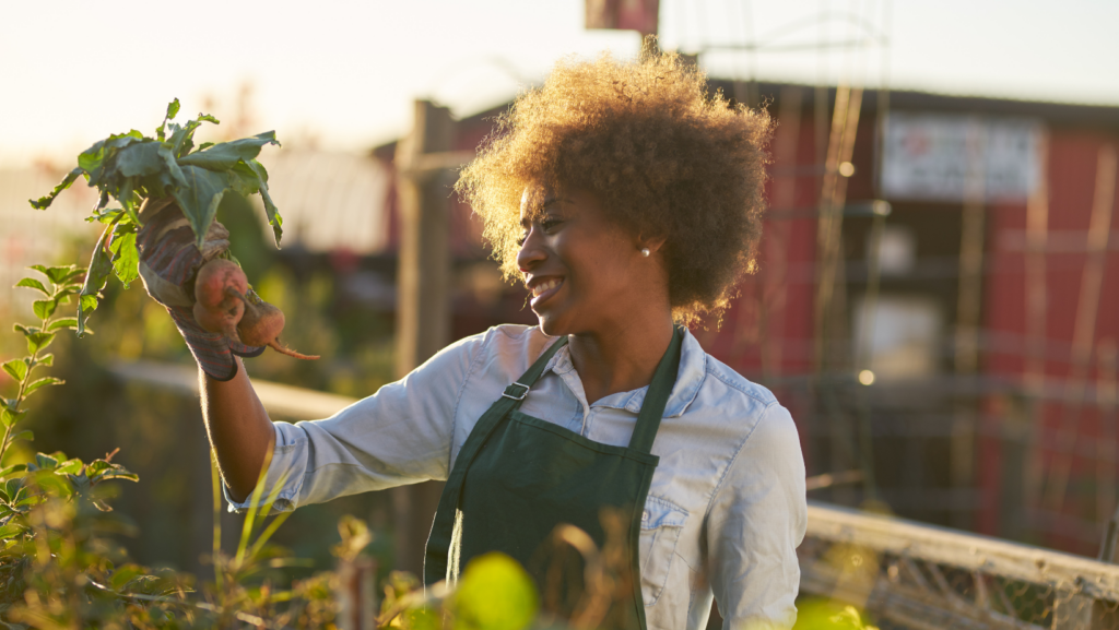 Flower Gardening for Beginners