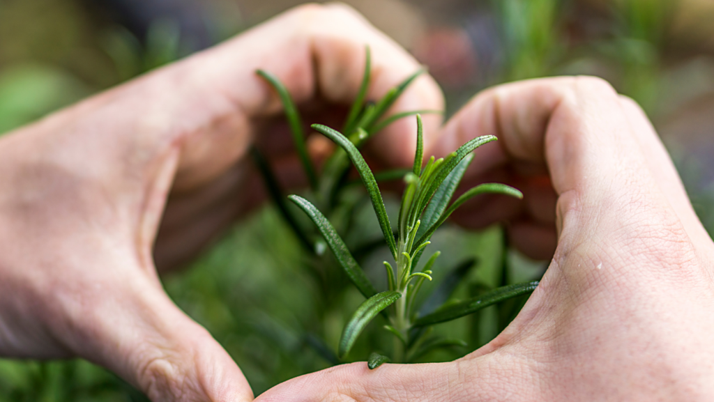 Gardening Gifts for Mom