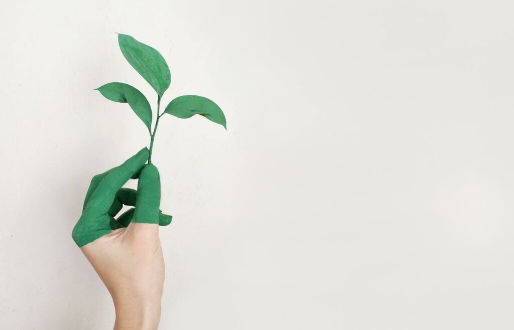 A person holding a leaf in his hand